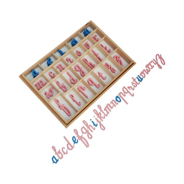 Movable Alphabets Cursive/Print set-Montessori Material